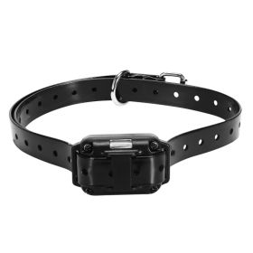 Training Collars (Option: Black)
